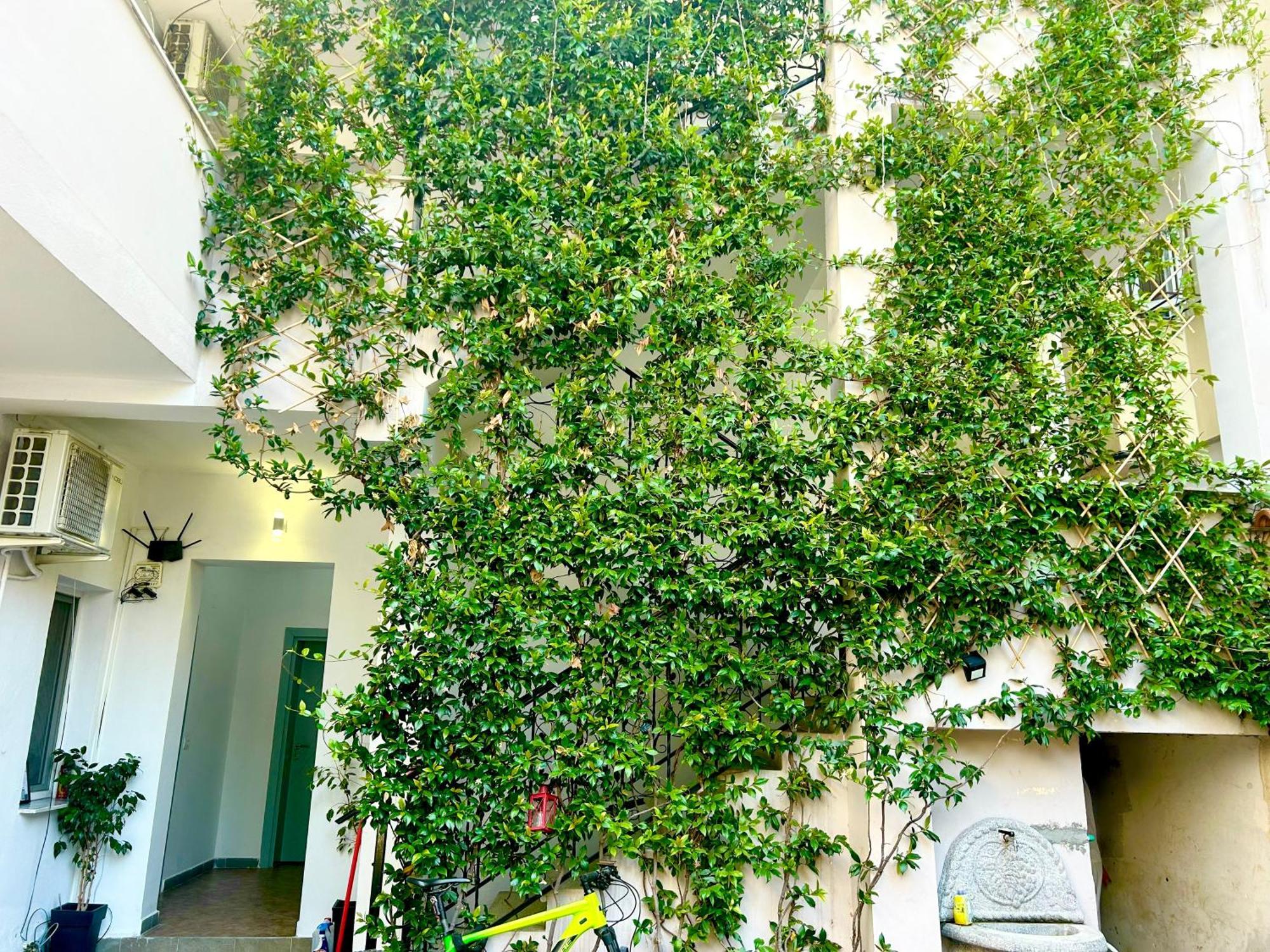 Budget Retreat Tirana & Studios Zewnętrze zdjęcie